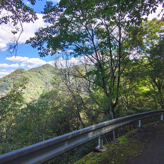 熊山中腹登山口の駐車場に停めてからしばらく車で登ってきた道を降りていきます🚶野球をゆっくり見てたからこんな時間からスタート🤣