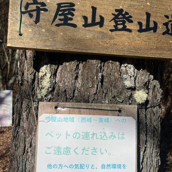 ペットダメなんだー