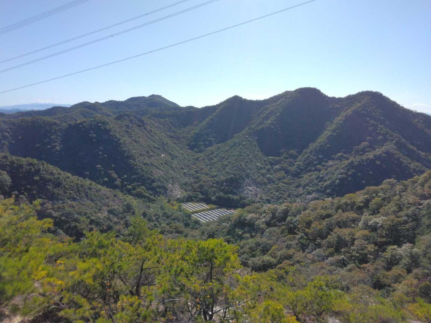 馬の背登山口-桶居山 往復コースの写真