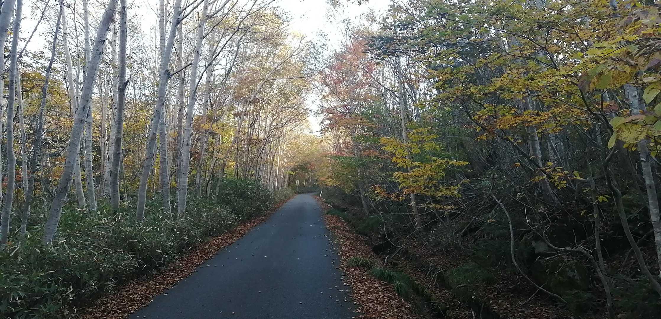 小田越-早池峰山-早池峰剣ヶ峰 往復コースの写真