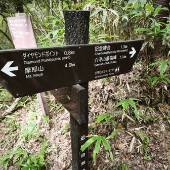ノースロードに出る手前のハイキング道に合流