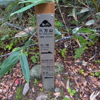 六万山山頂
結構な急登続きで滝汗、心臓バクバク

雑木林に覆われて眺望は無し
直ぐに引き返します
