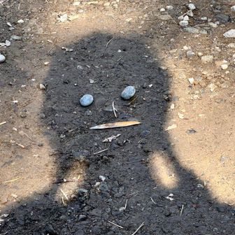 ストックでも届かなくて助けられなかった🥹
