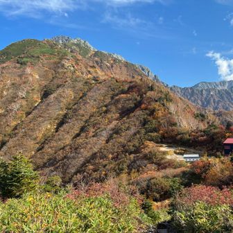 帰路の丸山から。上部は紅葉もお仕舞です。