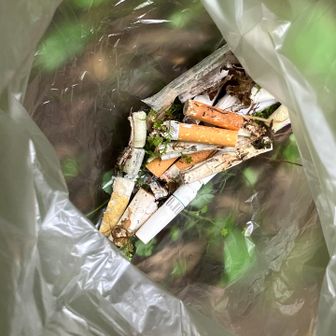 展望台下りて本日の収穫 27本 🚬

展望台手摺に寄れなくなったおかげかペットボトル・空缶投げ捨ては無くなりましたが🚬の投げ捨てがまた始まりました。

山火事を全く想像出来ぬ者達 💢
龍王山南側は杉・檜 植林で火事が起きたら燃料庫やど 😤