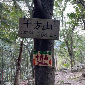 十方山登頂⛰️