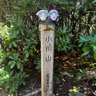 小川山（本日のメイン）なぜか晴れてる☀️
