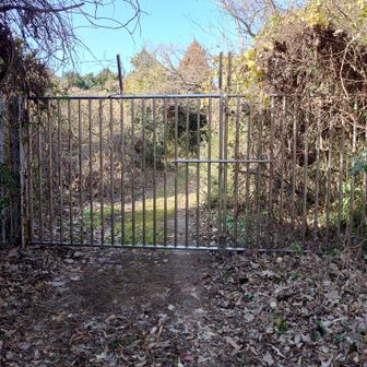 通せんぼされていました😅