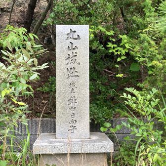 石碑を見たら
丸山城址でした