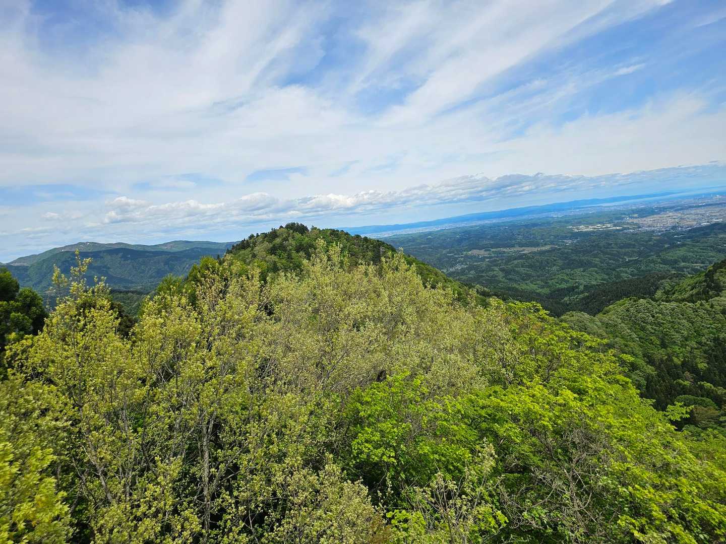 夫婦山-夫婦山 往復コースの写真
