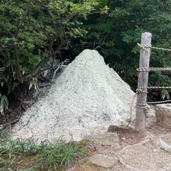 少しすると噴湯丘みたいなのあった🗻