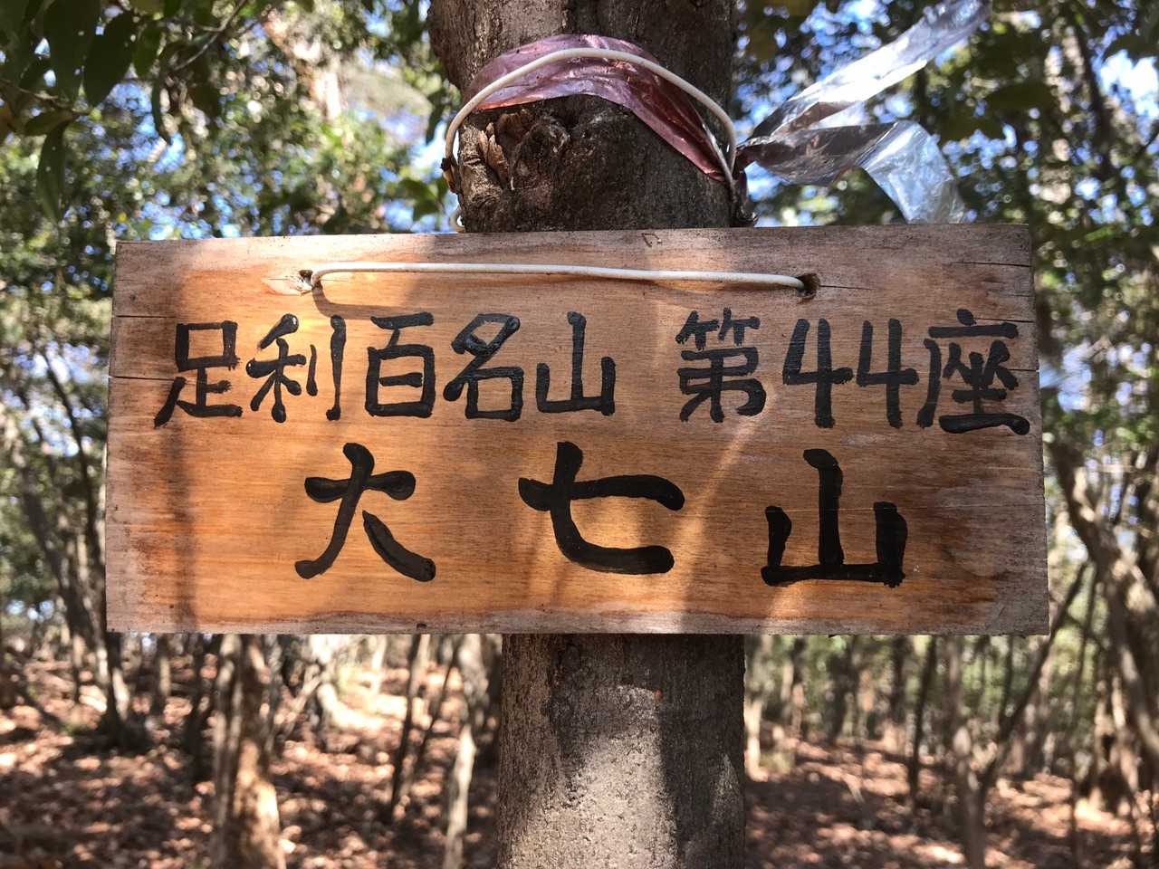 当日第五座目の足利百名山第44座 大七山山名版ＧＥＴ！