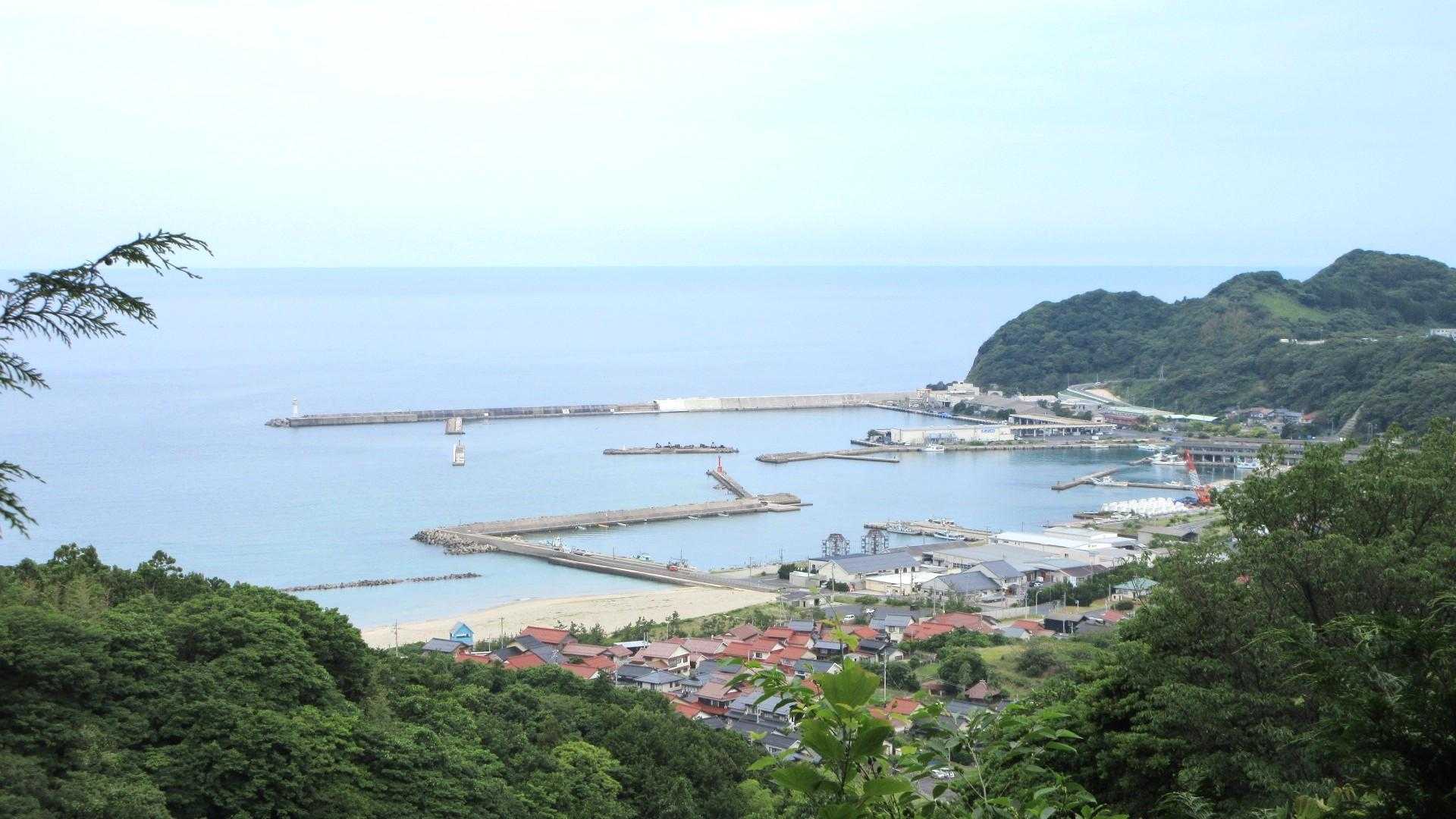 展望所より