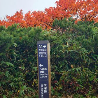大深岳到着、源太ヶ岳から35分