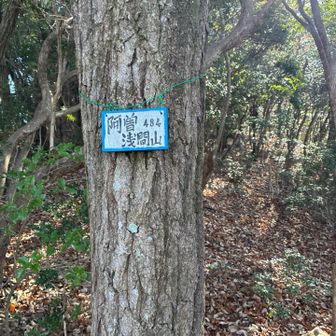 ここのピークはYAMAPとズレてた🤔