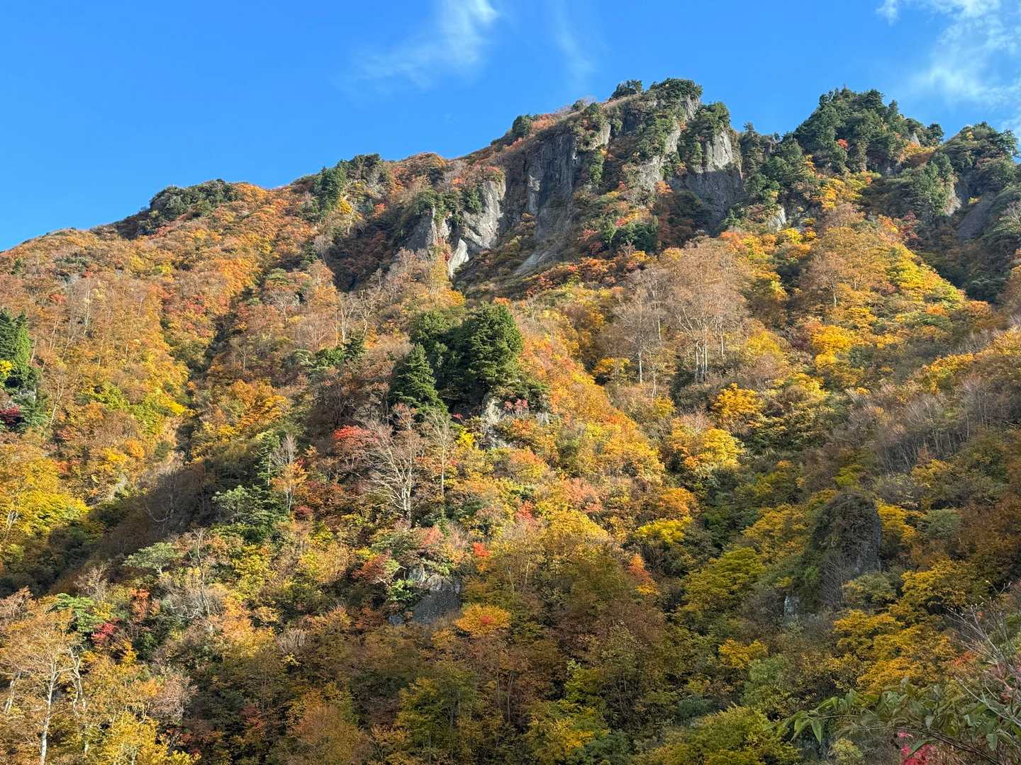 【周】八海山（2合目登山口）＜屏風道・八ッ峰・入道岳・新開道＞の写真