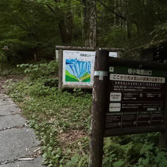 登山口