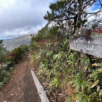 行きで見逃した前山の山頂標識🪧