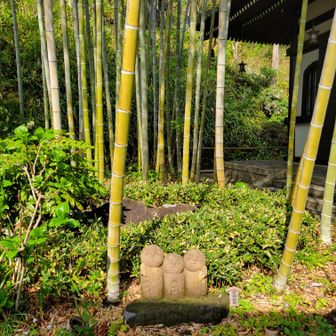 竹の中の地蔵。アゲ〜