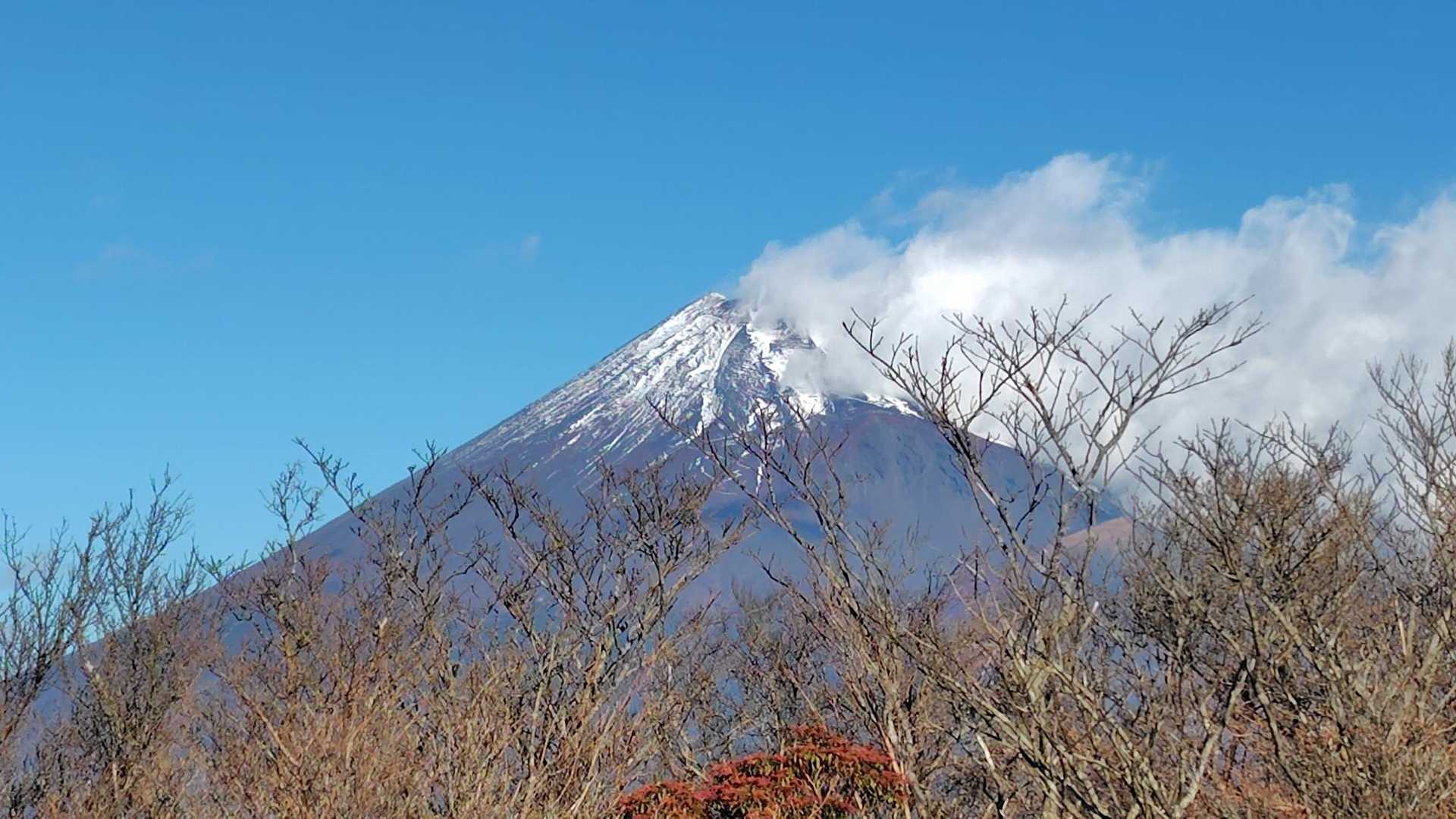 十里木-越前岳 往復コースの写真