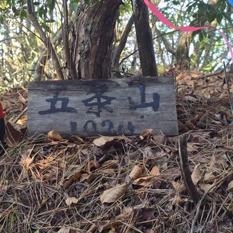 おつかれ山～⛰️ あ～んやっと 折り返し