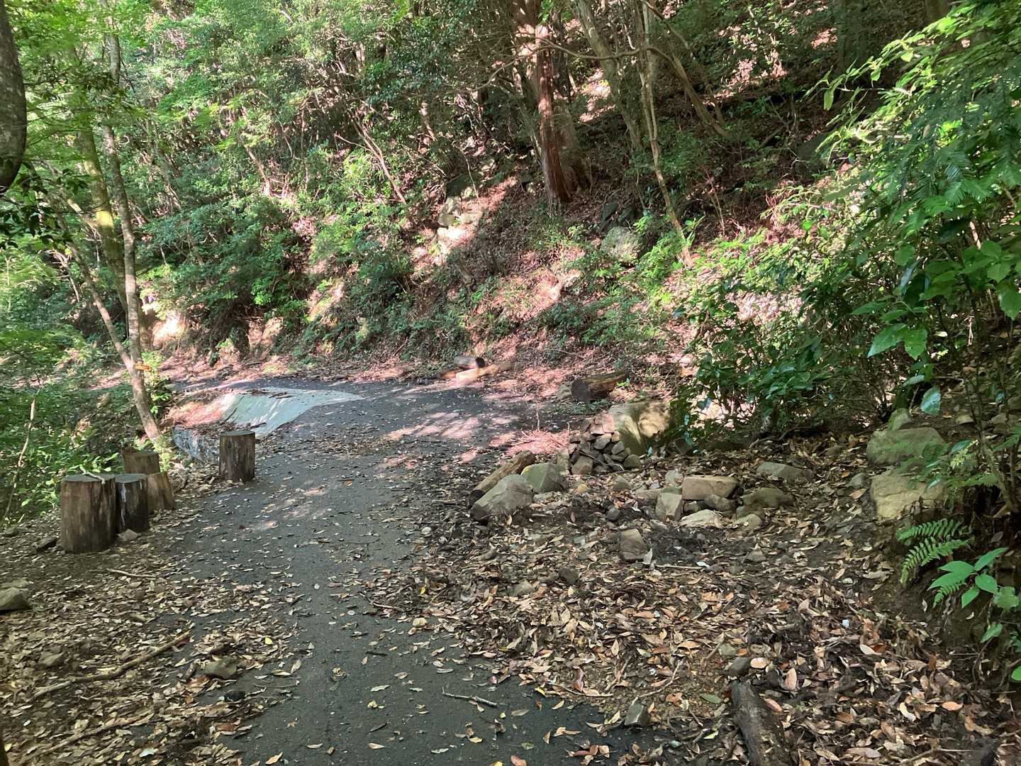その代わりと言っちゃナンですが…
この前の雨で、道が不安定になってる。