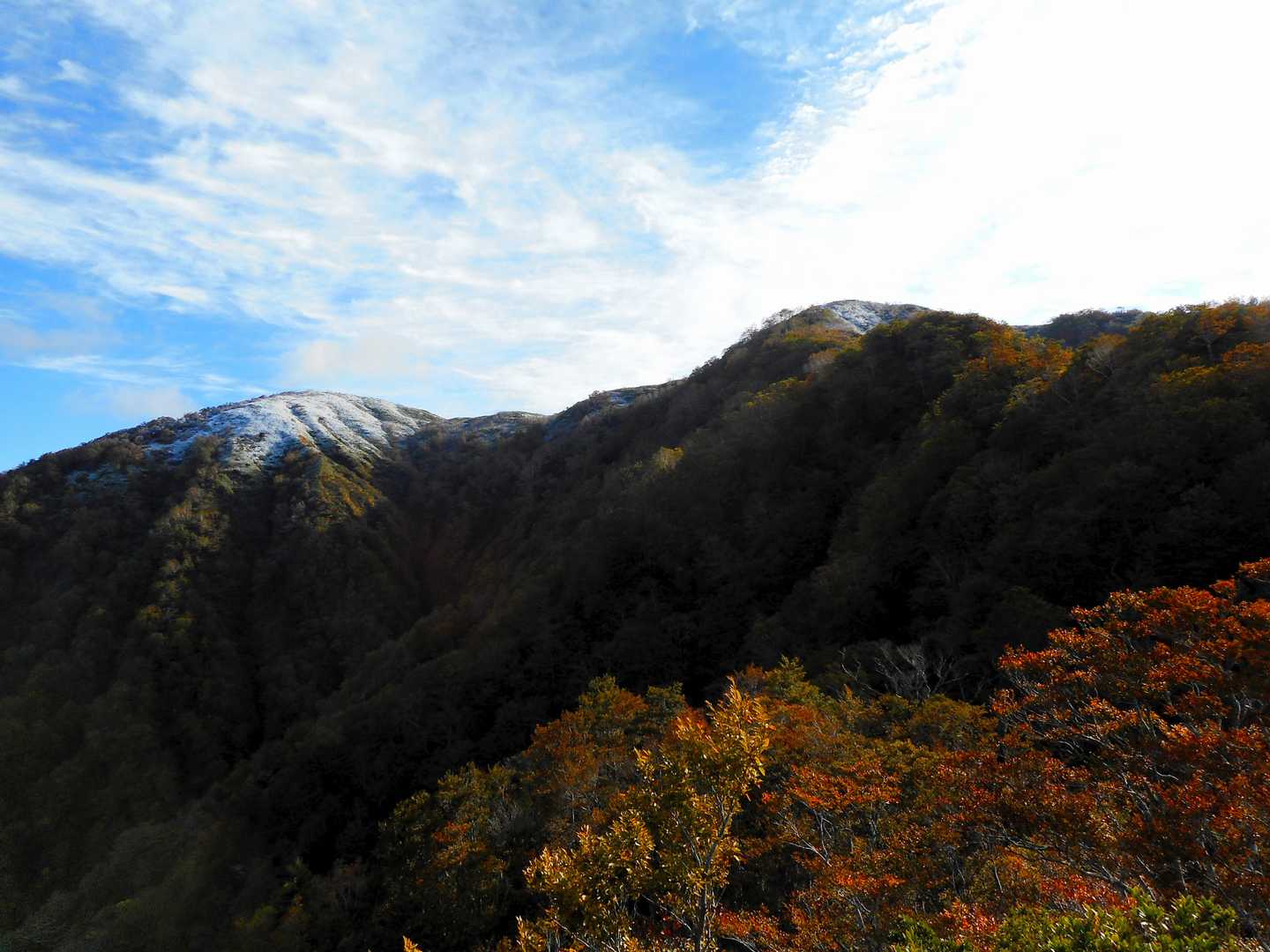 広域林道登山口-保月山-釈氏ヶ岳-中岳 往復コースの写真