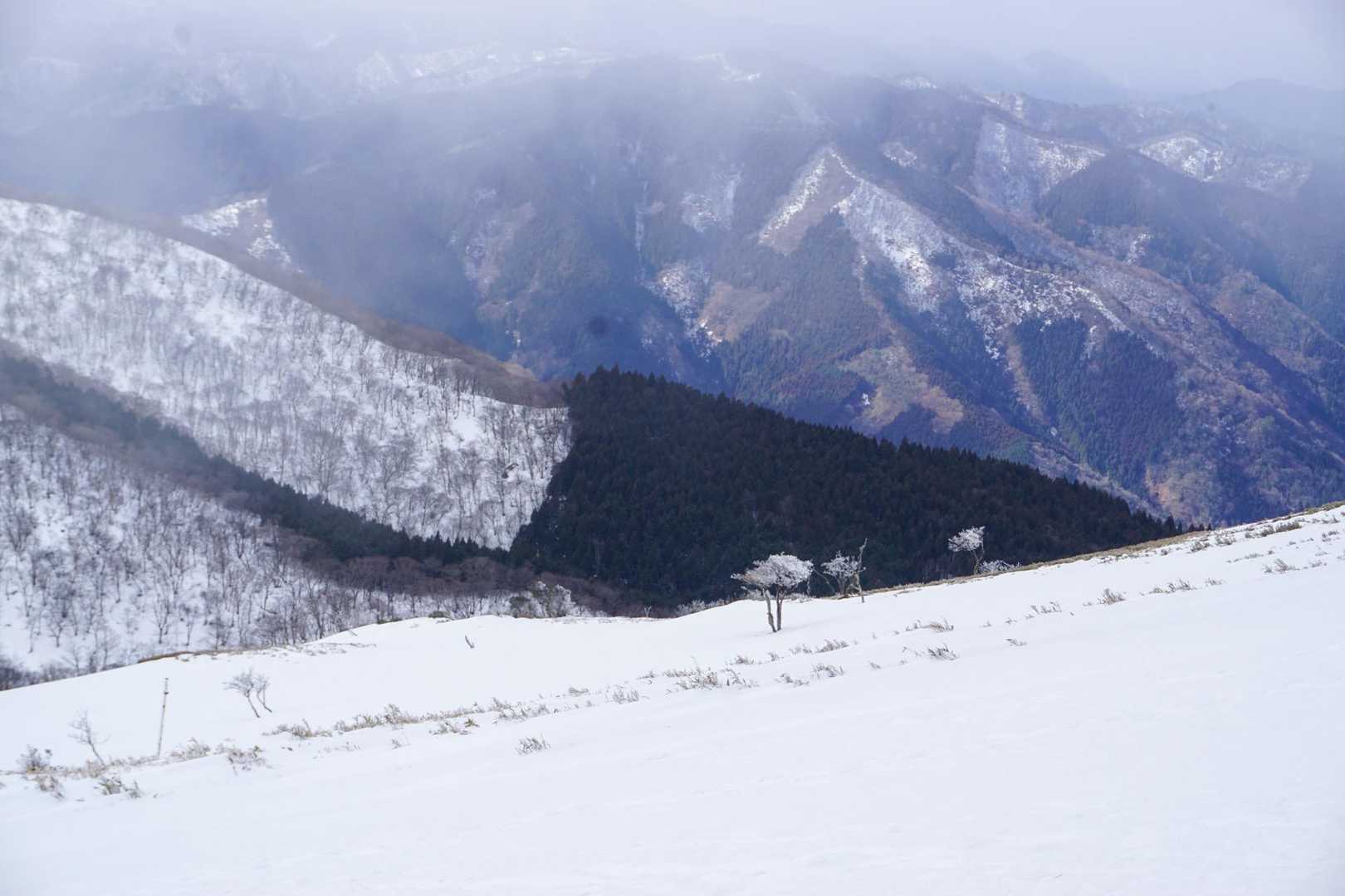 遠くの霧氷に、雪化粧の山々、ばえる🏔️❄️