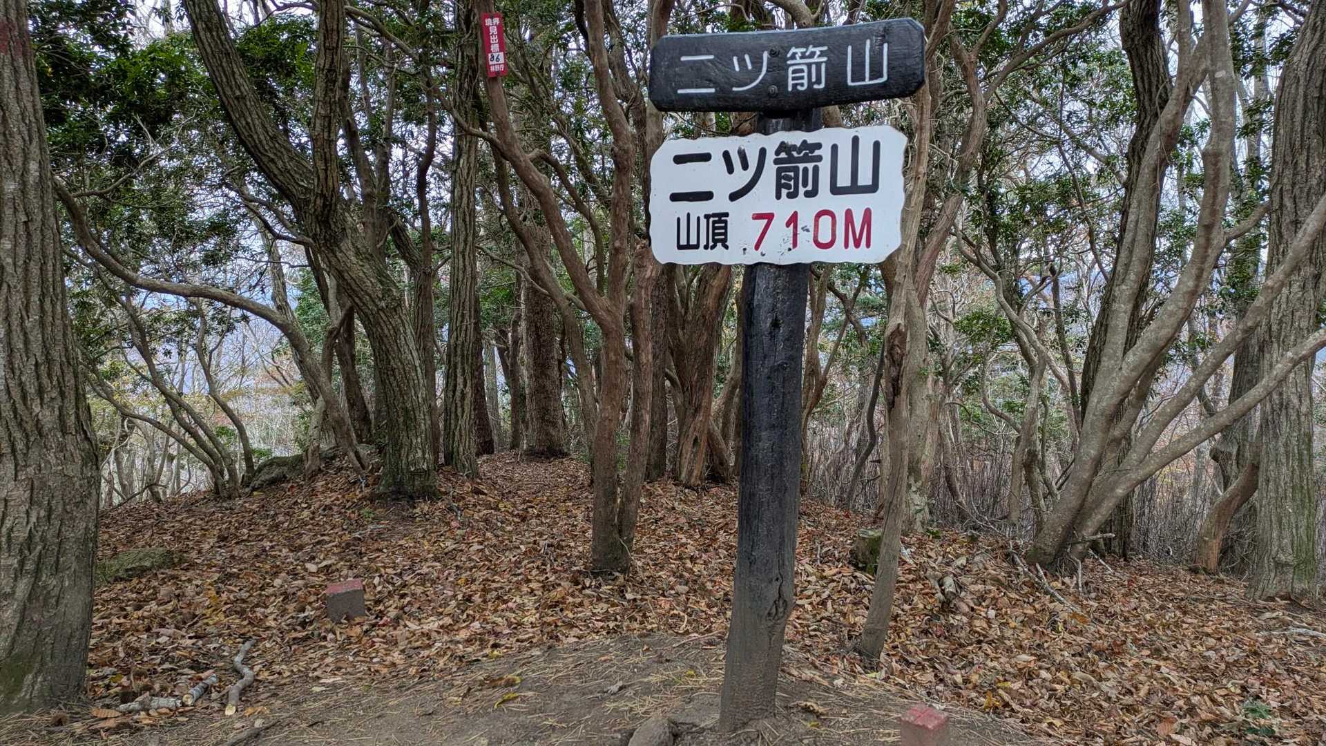 沢コース-男体山-女体山-二ッ箭山-月山新道コース 周回の写真