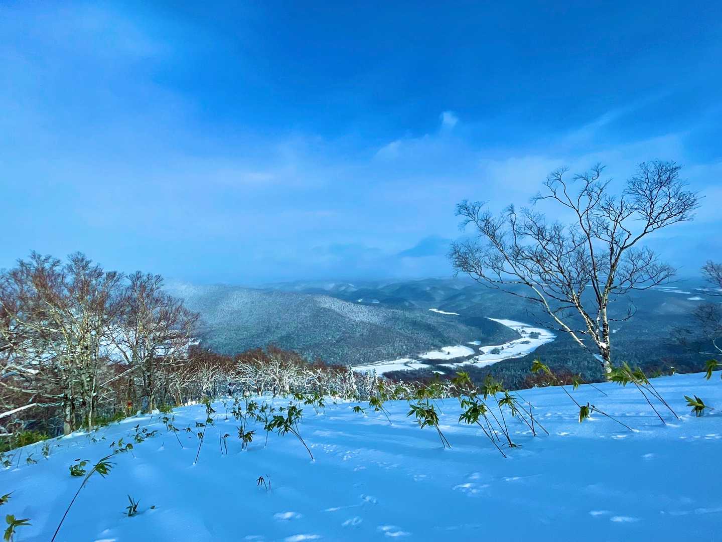 一ノ山到着⛰✨
西達布川を見ながらここでランチタイム😋
