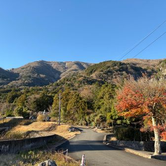 登り始めの景色