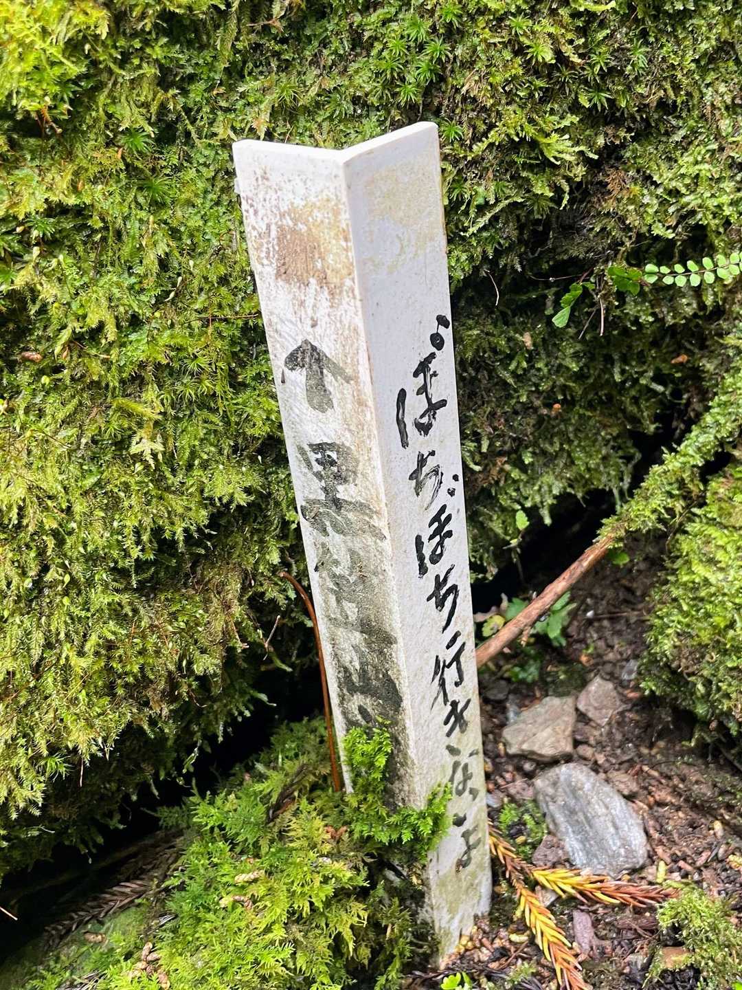 登山道に無事復帰
ほっこり阿波弁に励まされながら

「ぼちぼち行きないよ」
ばあちゃんがよー言よったな