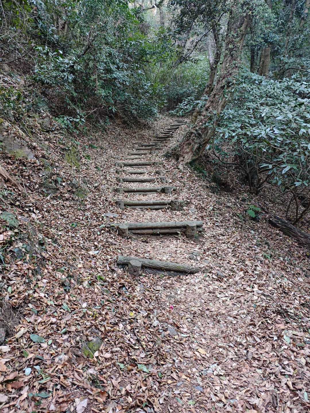 ここ数日間の参拝登山者の多さが物語る落ち葉の粉砕状態。