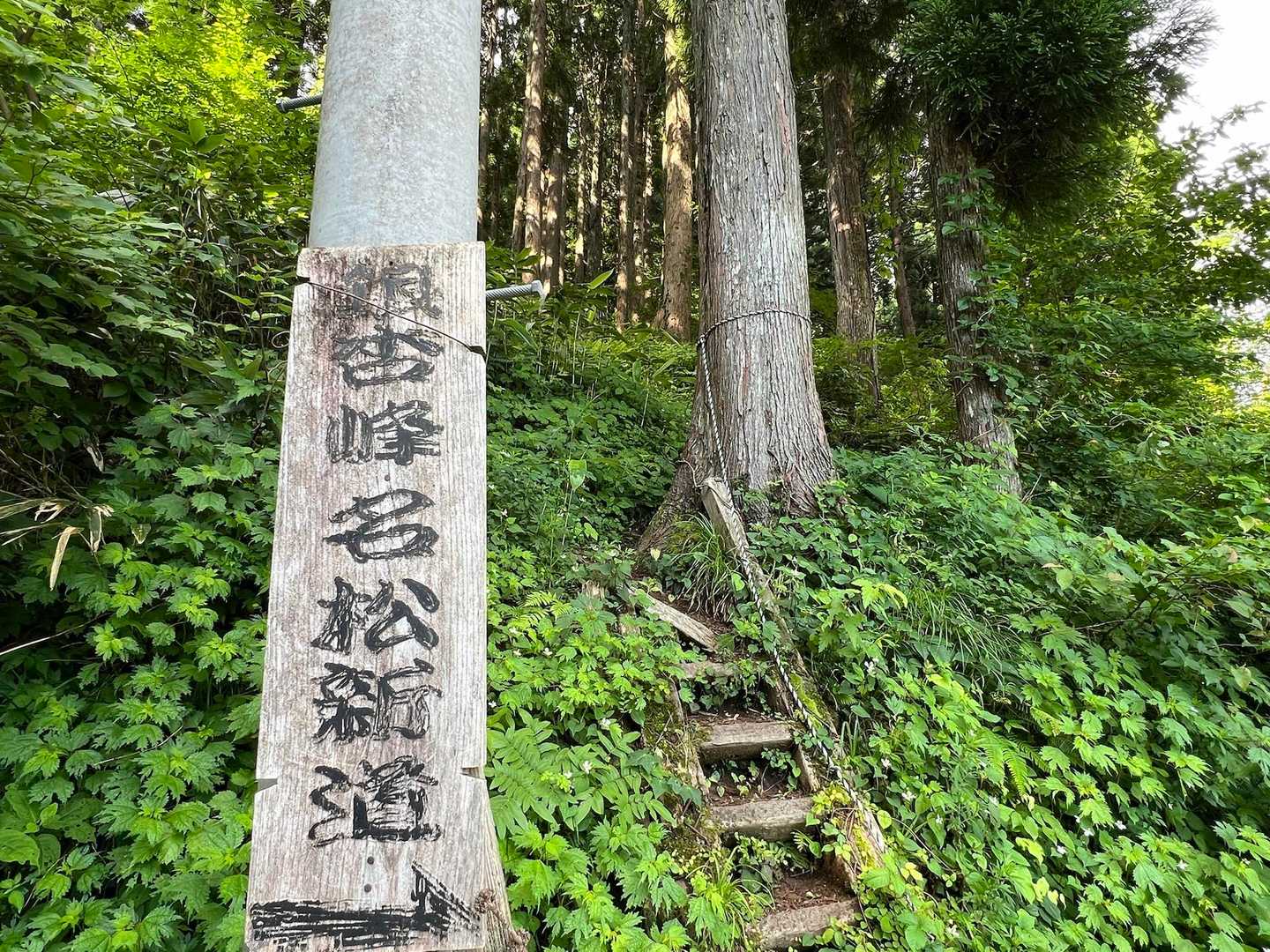 名松新道から銀杏峰を目指します
雪の時に一度来ただけなので、夏道は初めて