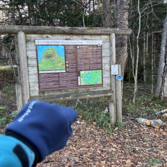 …なのでちゃっかりとオマケをつけましたよー‼️🤣🤣🤣
予備プランとして下調べしておいて良かった😆
トサモシベ登り口から車で10分ほど移動🚗
仁伏半島もぐるりんこしちゃいまーす🎶