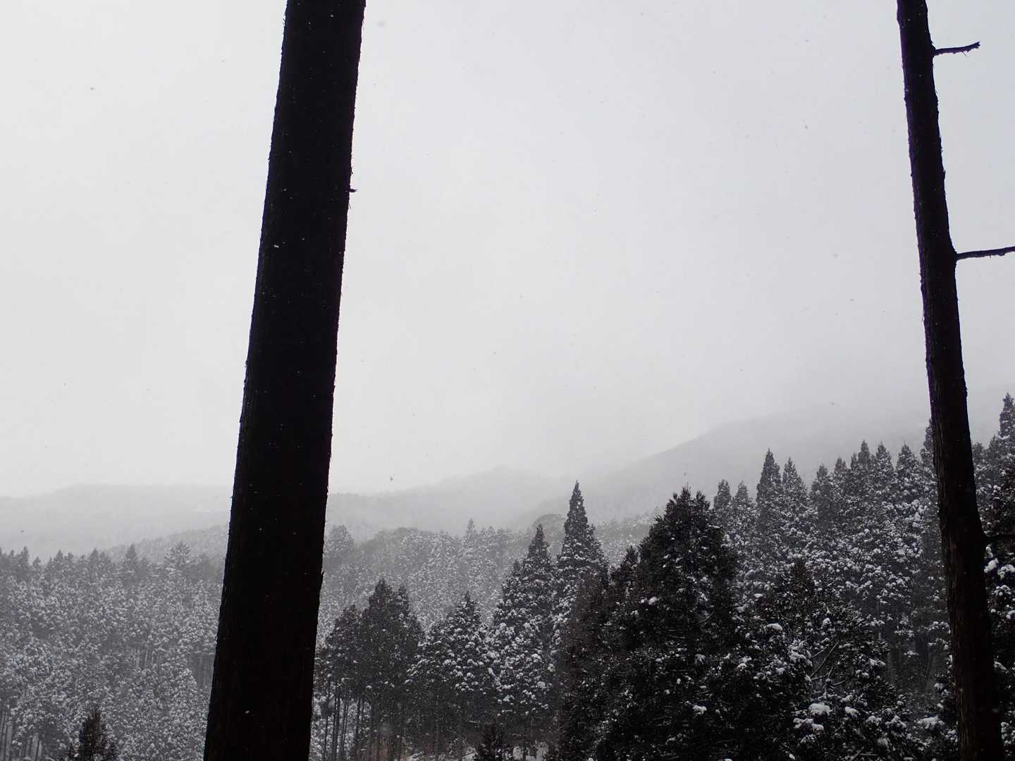 山頂は雲の中😅
