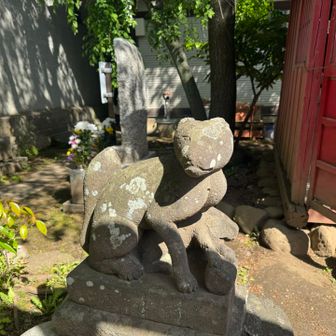 うちの飼い猫にそっくり