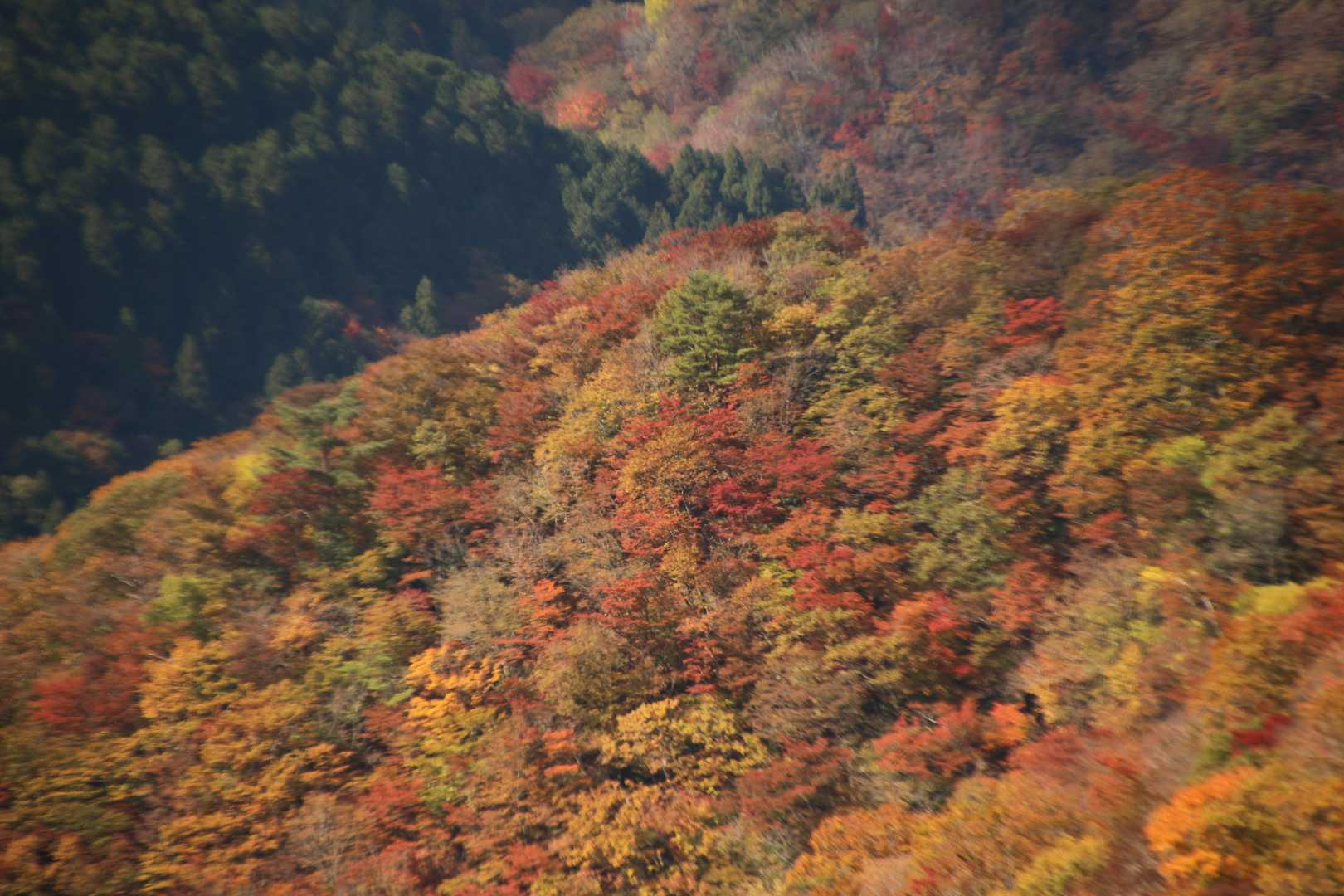 山裾の紅葉🍁も綺麗