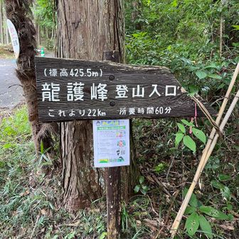 お疲れ様でした⛰️