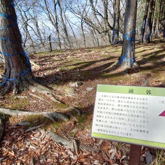 副郭
今日はココの建物跡の礎石でお昼
温かい物を持ってきたけど、風が冷たすぎて体が冷えた