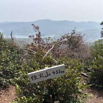 到着🙌ここから奥の道が気になって進んだけど、大量のイノシシのフンで怖くなって引き返す笑