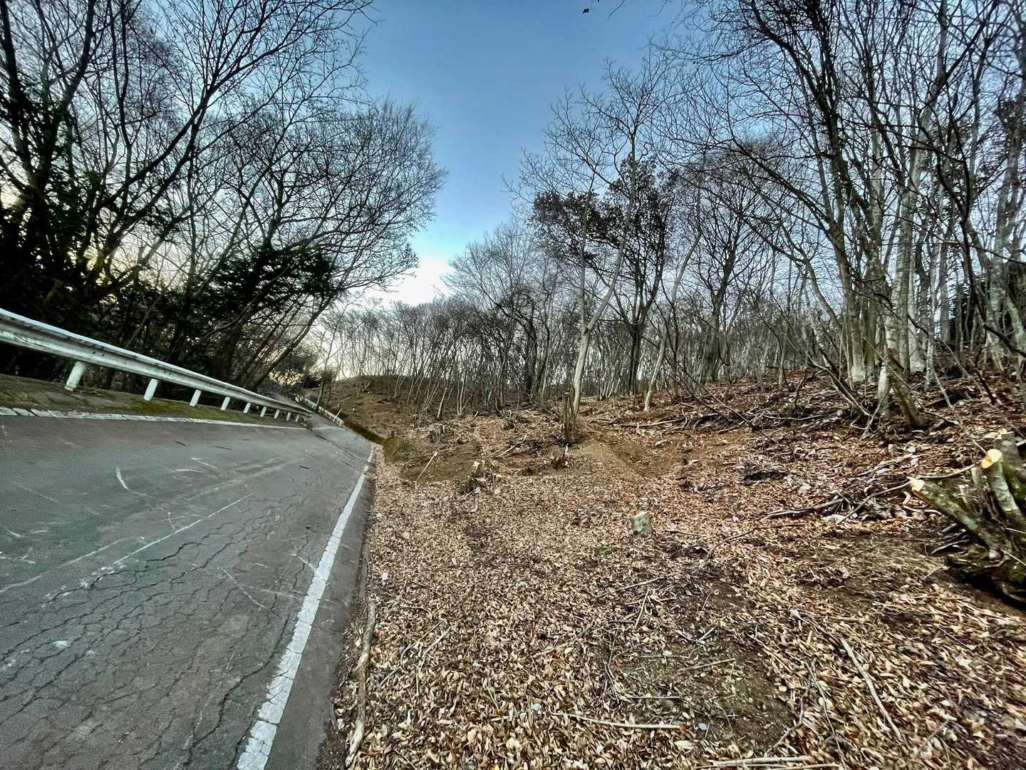 ここで舗装路を横切って再び登山道へ👉