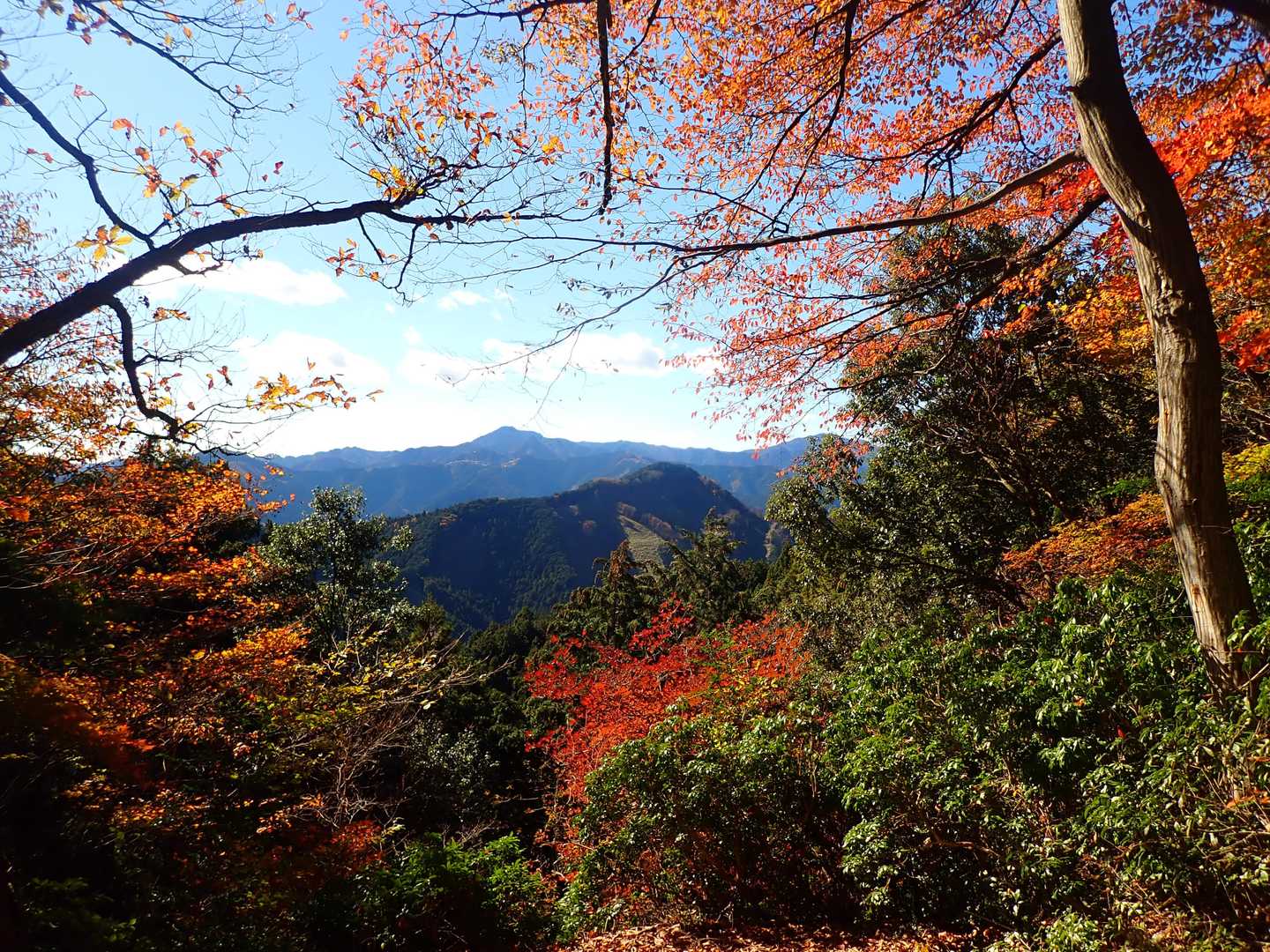 高水三山縦走コースの写真