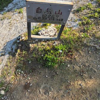 ピークハント