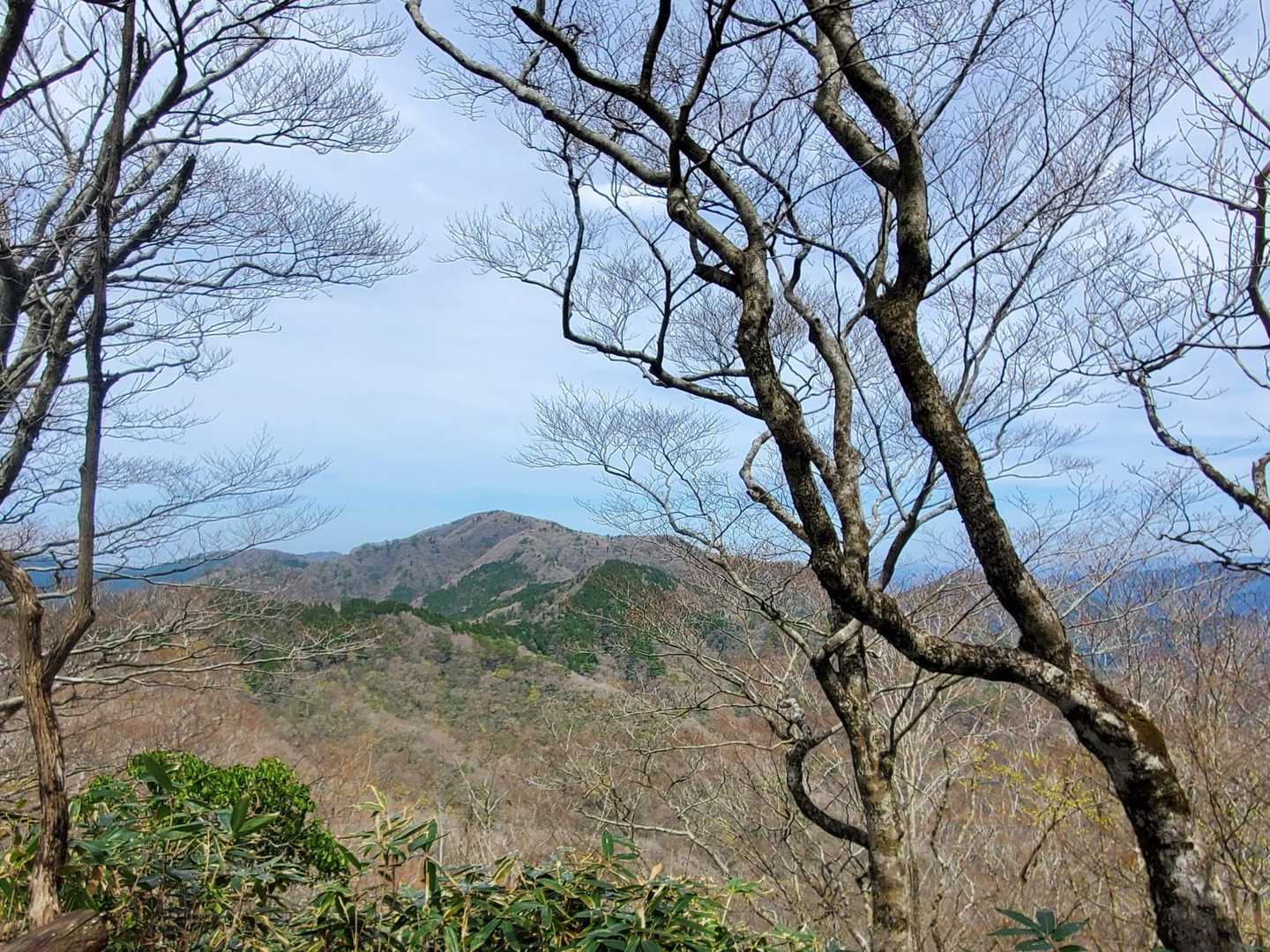あれが弟見山