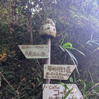 登山道終了🙌