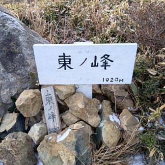 今日のお目当て