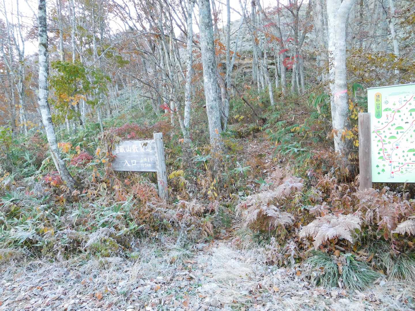 霜ってます。