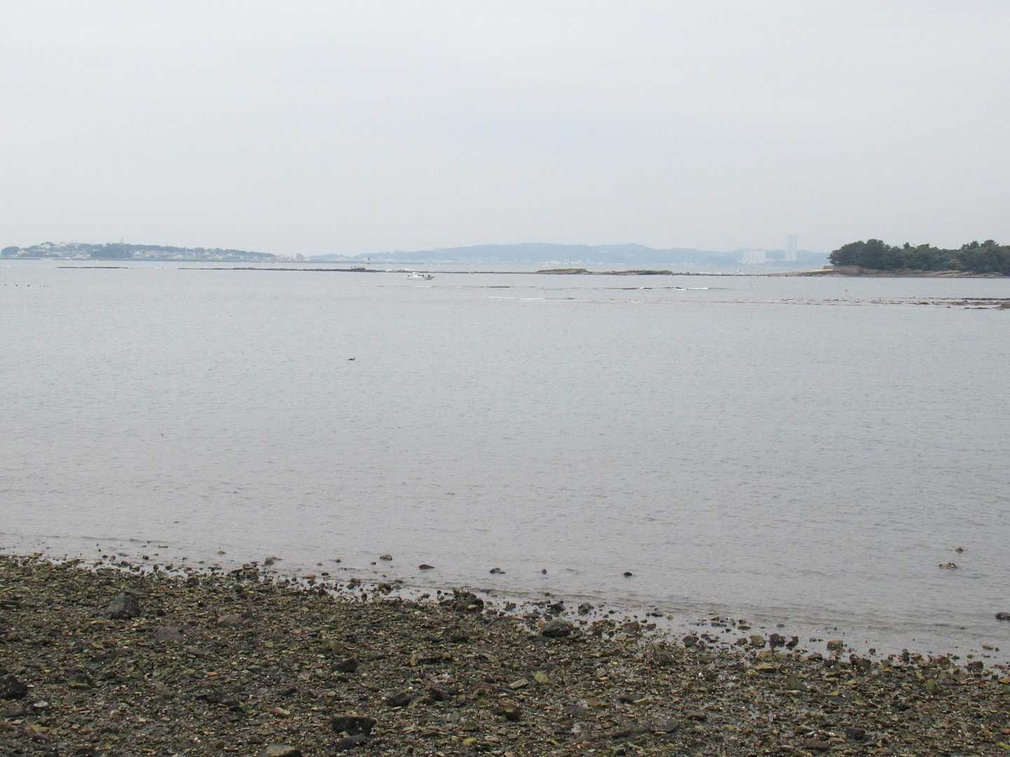 どんより曇っているが、日間賀島や知多半島が見える