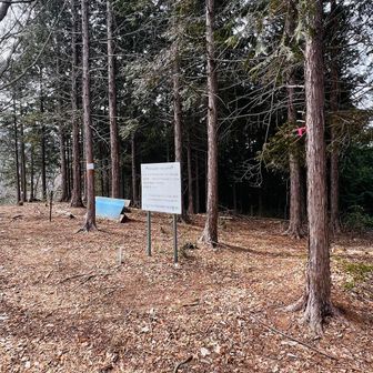 やはり栂ノ尾の山標が見当たらない
無いのかなー